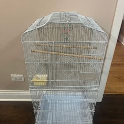 Bird Cage 