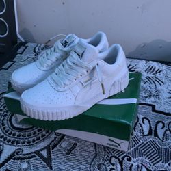 White Pumas 