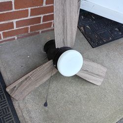 Ceiling Fan 