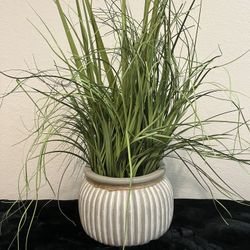 Decorative Artificial Plant - Home Decor