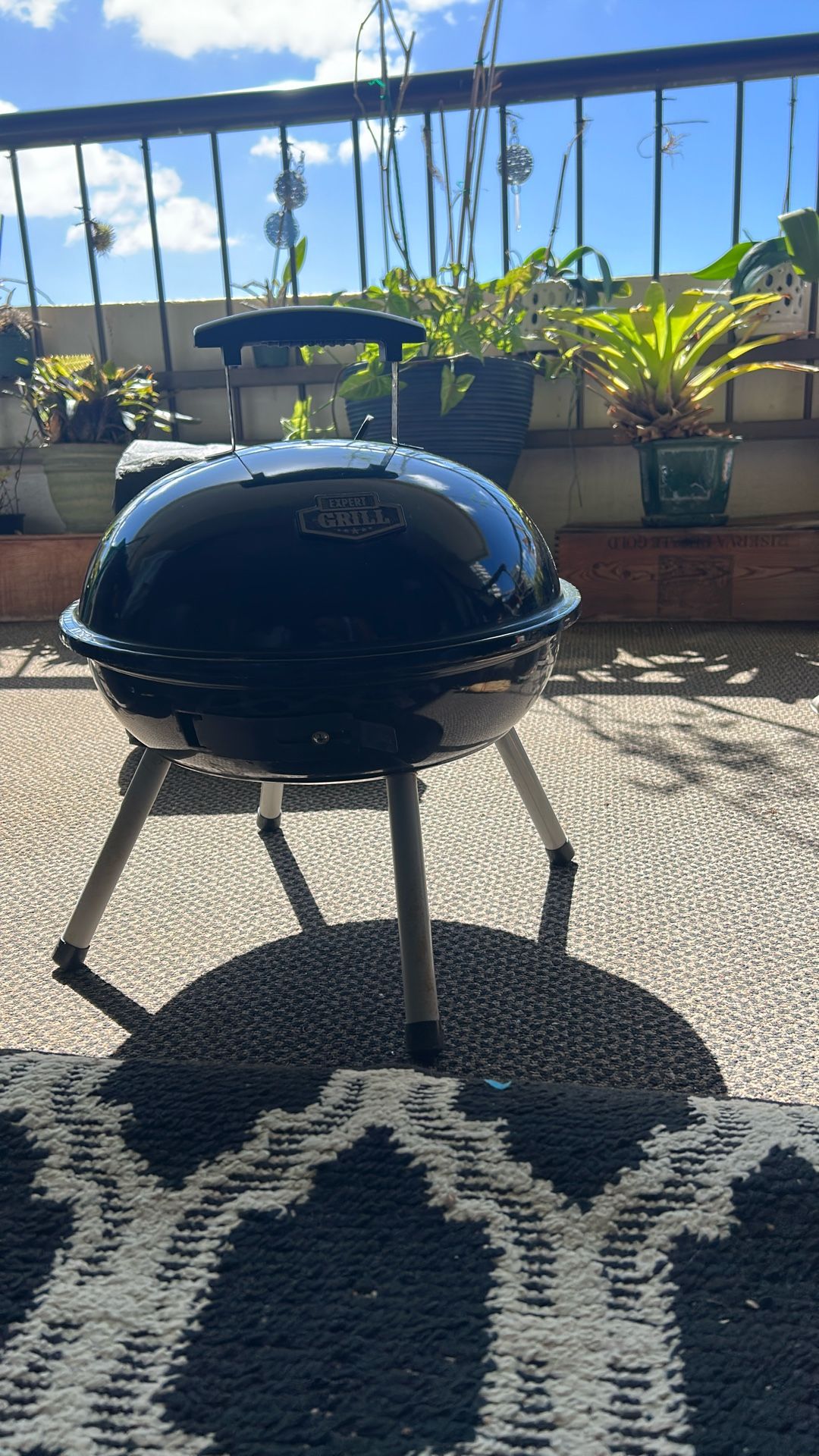 Expert Mini Grill + Charcoal+ Grill Scrub