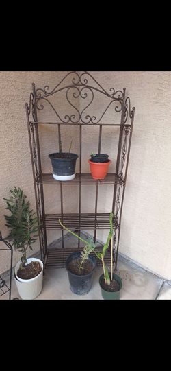 Plant Stand