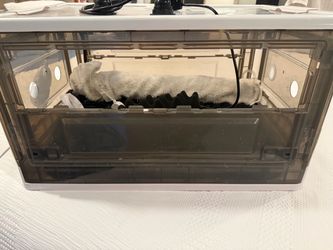 Pet incubator
