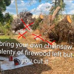 Cut Yourself Free Firewood – Bring Your Chainsaw & Cut Your Own