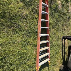 Werner 10 Ft Ladder