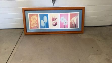 Framed Picture