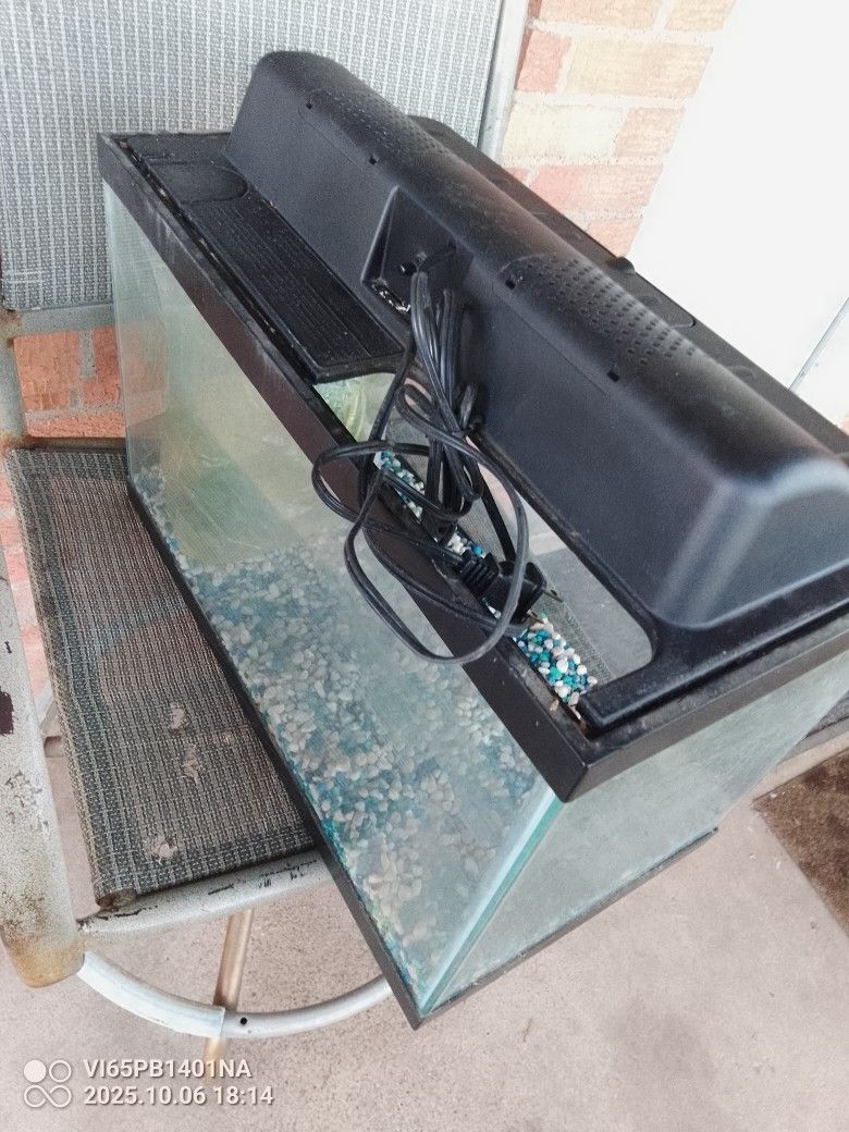 Pecera De 10 Gal.Barata $30 Dlls Sola