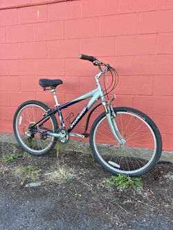 Specialized Mountain Bike