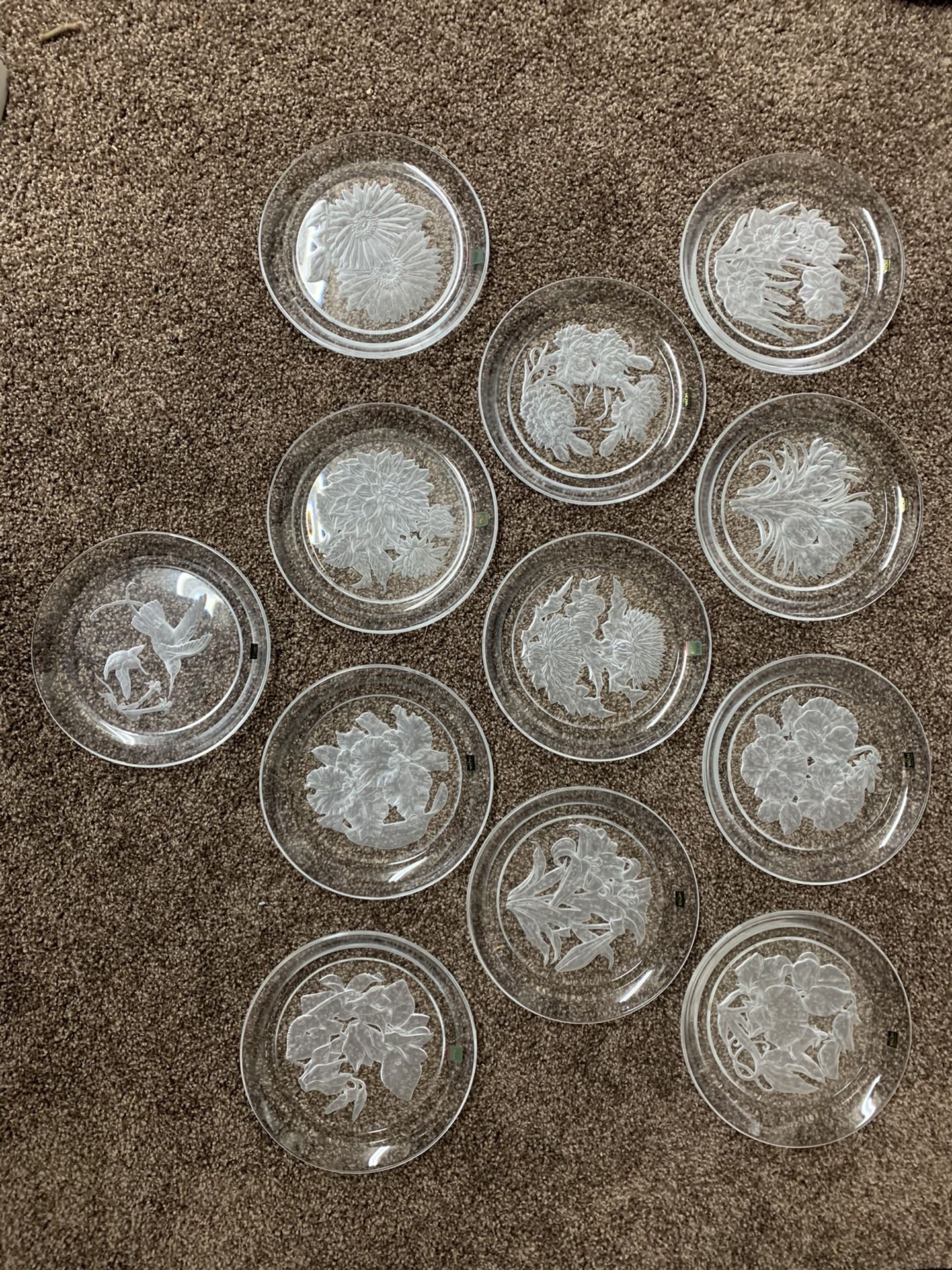 11 Hoya crystal floral engraved plates plus Hoya Boehm signed hummingbirds crystal plate.