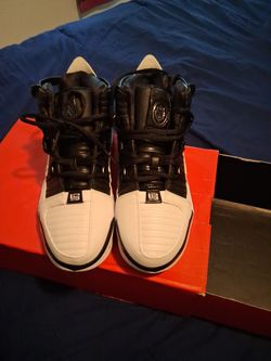 LeBron  zoom 3 qs