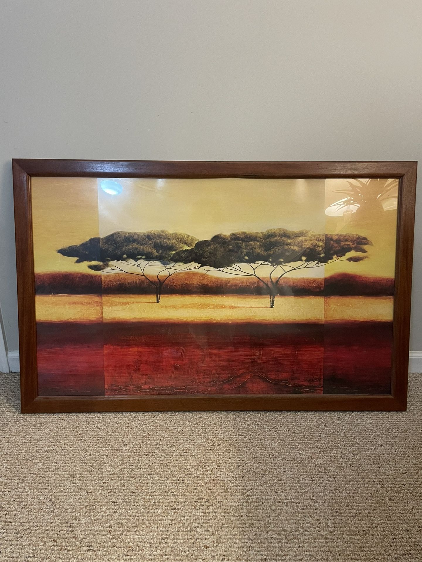 48” X 31” Framed Print