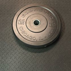 45 Lb Bumper Plate