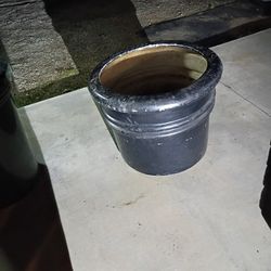 Big Plant/Tree/Fruit Pot That Is Mobile Because It Has Discreet Hidden Wheels