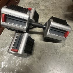 Adjustable Dumbell 