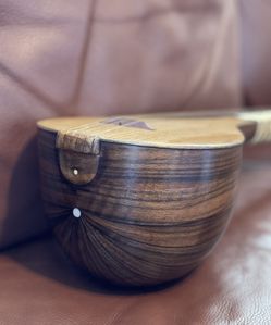 Persian Setar