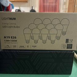 Light Bulbs 