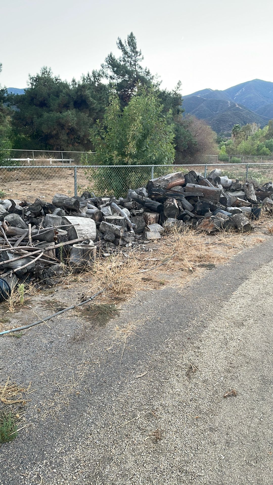 Fire Wood
