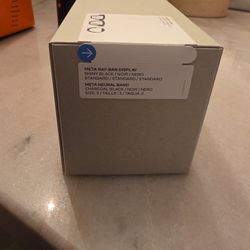 Rayban Meta Display 