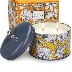 Scented Candles for Home, 80 Hour Long Lasting Aromatherapy Candle with 2 Wicks 14.1oz Soy Wax Scented Candle Gift for Women, Gift for Birthday