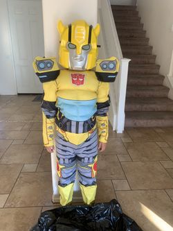 Bumble Bee Costume 