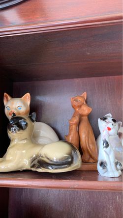 Cat collection available now