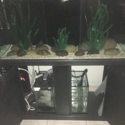 Visio custom made 100 gallons tank salt water fish tank