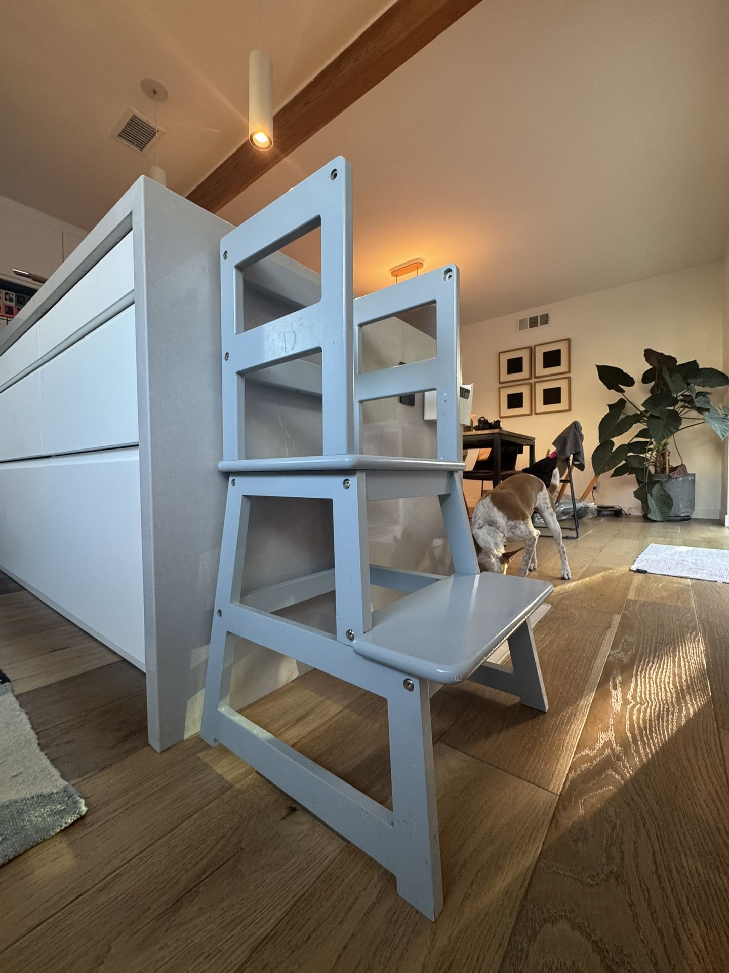 Unicoo Step Stool
