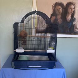 King Bird Cage with all accessories added and additional padding
