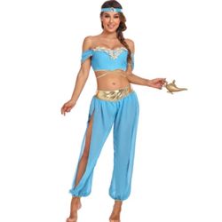 Princess Jasmine Halloween Costume 