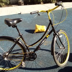 Black And Yellow Bumblebee Color Ed