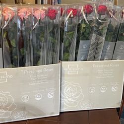 Eternal Roses / Forever Roses