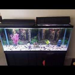 55 Gal Fish Tank 