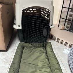 Dog Kennel