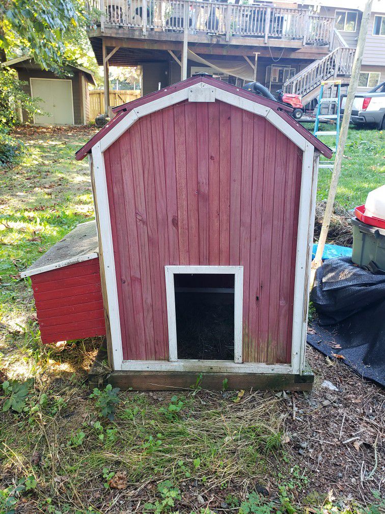 Chicken Coop And Supplies 