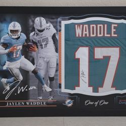Jaylen Waddle Framed Custom Signed Jersey - Beckett COA - Custom Design 1 of a kind!