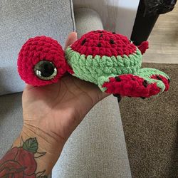 Watermelon Turtle 