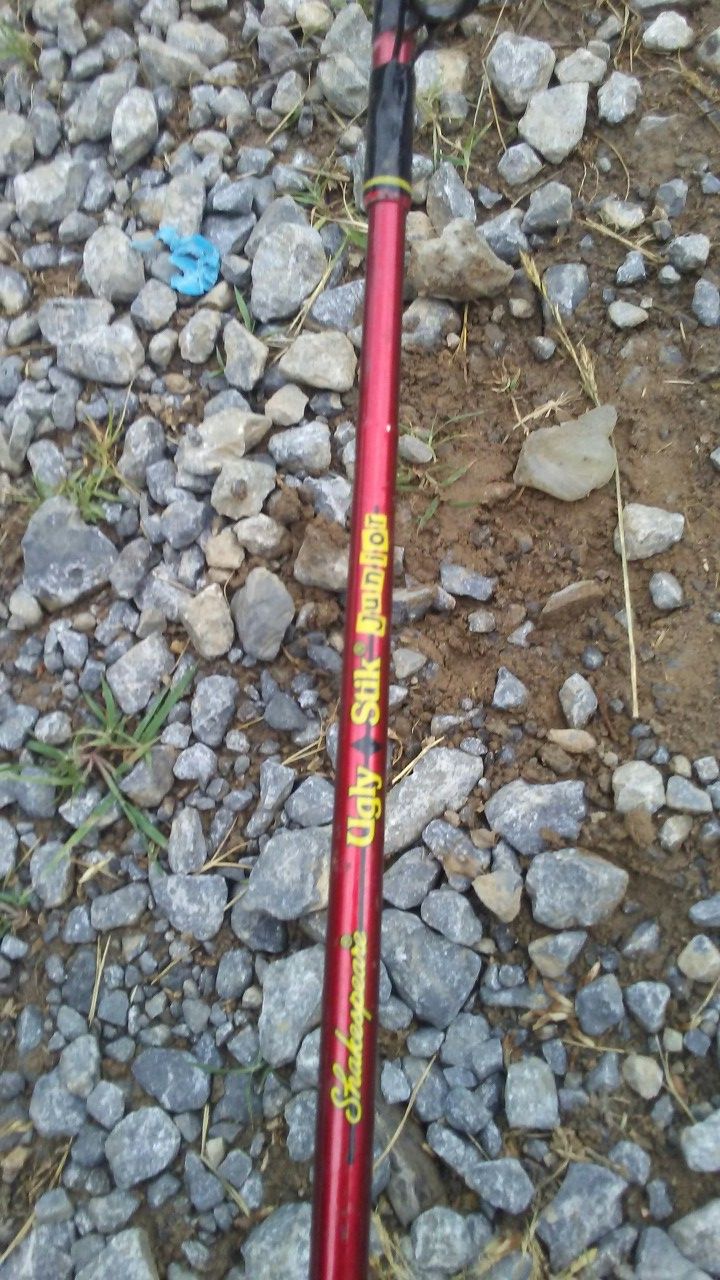 Ugly stick junior rod