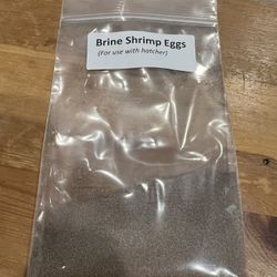 Brine Shrimp Eggs