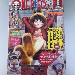 One Piece Vol 20 Magazine 