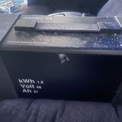 electric vehicle battery