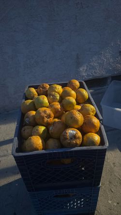Naranjas Agrias