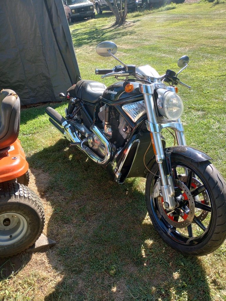 2007 Harley V-Rod V-Rod