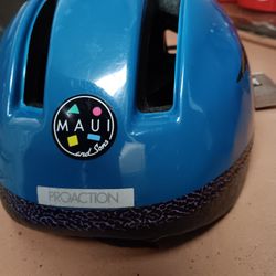 Vintage 1994 Proactive Bike Helmet