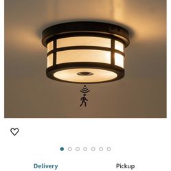 Motion Sensor Outdoor Ceiling Light 