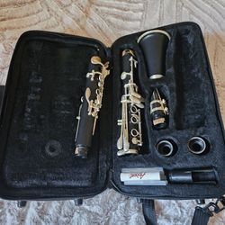 Clarinet And Case