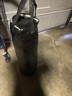 Everlast Punching Bag