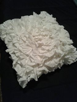 A set of 2 New throw pillows