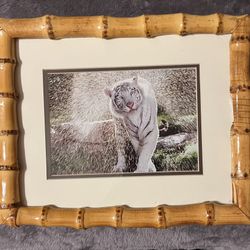 Framed  White Tiger