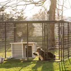 Tarter 10 x 20 x 6 Dog Kennel