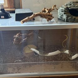 Zen Habitat 4X2X2 Reptile Habitat Enclosure Terrarium